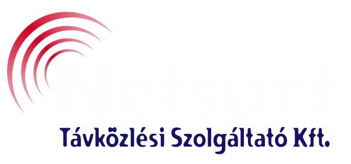 Netsurf-ERP